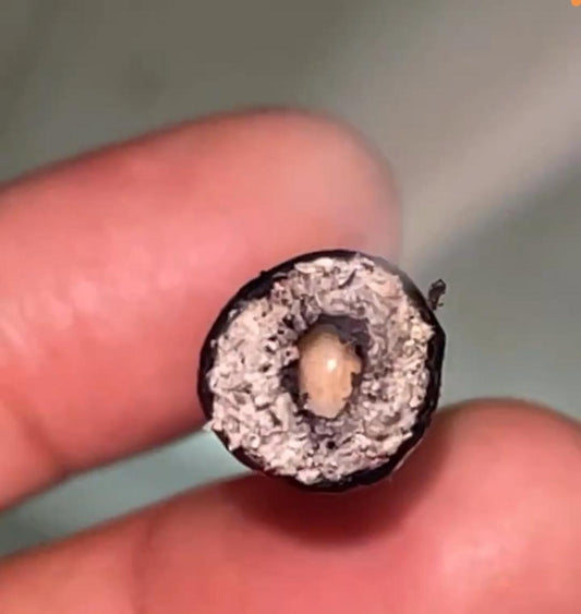 The Art of the Hash Hole: How to Craft the Perfect Roll