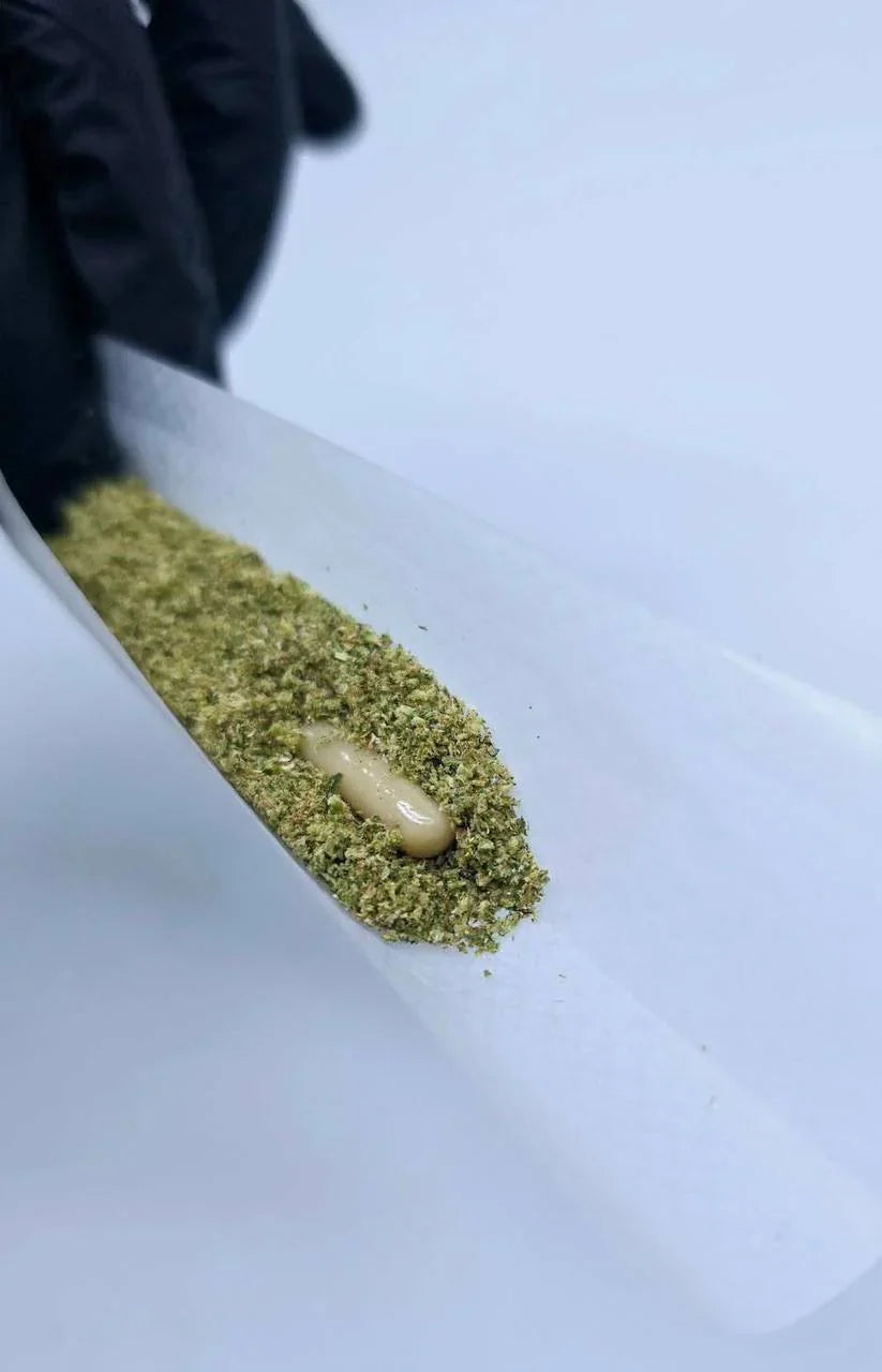 Tool Kit for Professional Rollers: Must-Have Gear in 2025