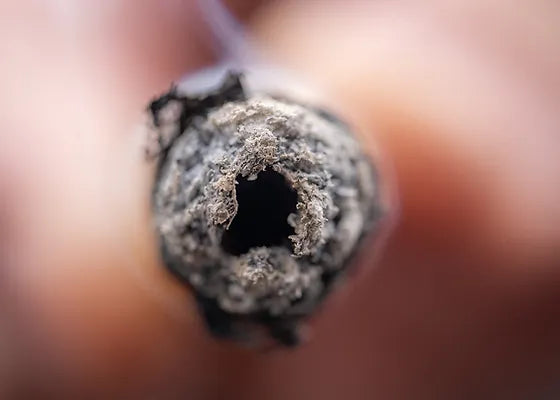 The Evolution of Pre-Rolls: From Dispensaries to Custom Hash Holes